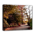 Leo Harrison St Pk  Path 2 Deluxe Canvas 24  x 20  (Stretched)