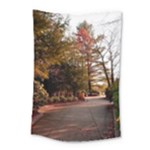 Leo Harrison St Pk  Path 2 Small Tapestry