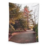 Leo Harrison St Pk  Path 2 Medium Tapestry