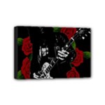 Slash Mini Canvas 6  x 4 