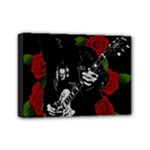 Slash Mini Canvas 7  x 5 