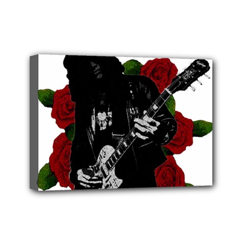 Slash Mini Canvas 7  x 5  from ArtsNow.com