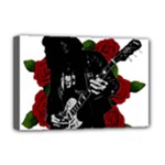 Slash Deluxe Canvas 18  x 12  