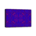 Mini Canvas 6  x 4  (Stretched) 