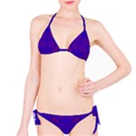 Purple Pilick2 Bikini Set