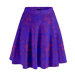 Purple Pilick2 High Waist Skirt