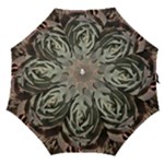 Succulent Green Pink Rosettes Straight Umbrellas