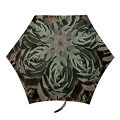 Mini Folding Umbrella 