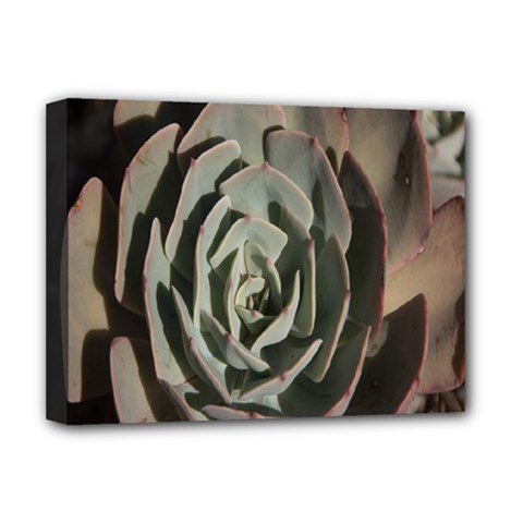 Succulent Green Pink Rosettes Deluxe Canvas 16  x 12   from ArtsNow.com