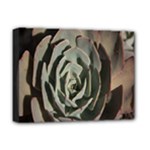 Succulent Green Pink Rosettes Deluxe Canvas 16  x 12  