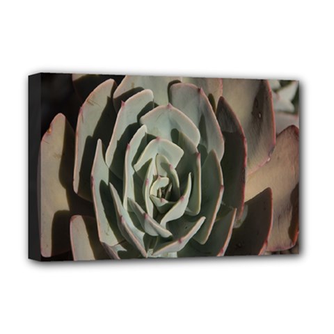 Succulent Green Pink Rosettes Deluxe Canvas 18  x 12   from ArtsNow.com