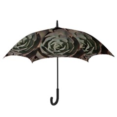 Hook Handle Umbrella (Medium) 