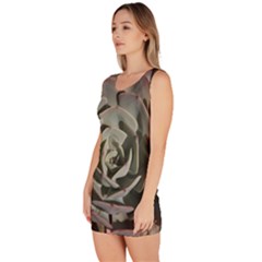 Bodycon Dress 