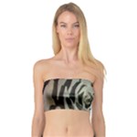 Succulent Green Pink Rosettes Bandeau Top