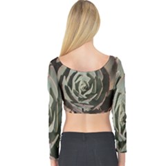 Long Sleeve Crop Top 