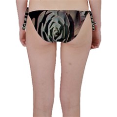 Bikini Bottoms 