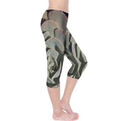 Capri Leggings  