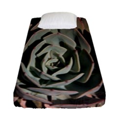 Fitted Sheet (Single Size) 