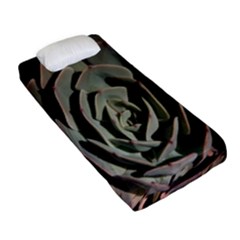 Fitted Sheet (Single Size) 
