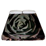 Succulent Green Pink Rosettes Fitted Sheet (Queen Size)