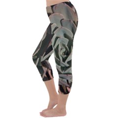 Capri Winter Leggings Back Capri Winter Leggings Back