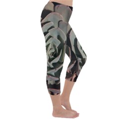 Capri Winter Leggings  