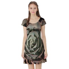 Short Sleeve Skater Dress Front
