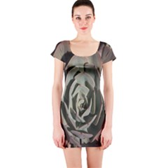 Short Sleeve Bodycon Dress Front