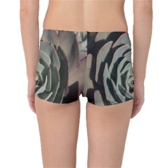 Boyleg Bikini Bottoms Back