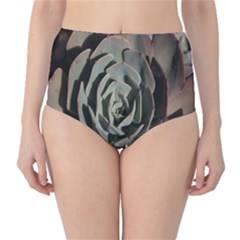 Classic High-Waist Bikini Bottoms 