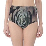 Succulent Green Pink Rosettes Classic High-Waist Bikini Bottoms