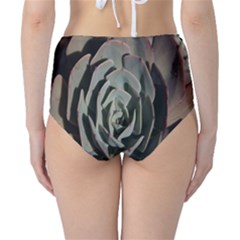 Classic High-Waist Bikini Bottoms 