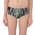 Succulent Green Pink Rosettes Mid-Waist Bikini Bottoms