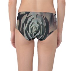 Mid-Waist Bikini Bottoms 