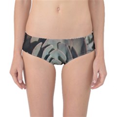 Classic Bikini Bottoms 