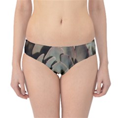 Hipster Bikini Bottoms 