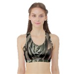 Succulent Green Pink Rosettes Sports Bra with Border