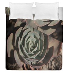Succulent Green Pink Rosettes Duvet Cover Double Side (Queen Size) from ArtsNow.com