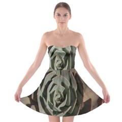 Strapless Bra Top Dress 