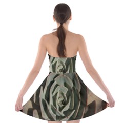 Strapless Bra Top Dress 