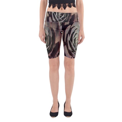 Succulent Green Pink Rosettes Yoga Cropped Leggings from ArtsNow.com