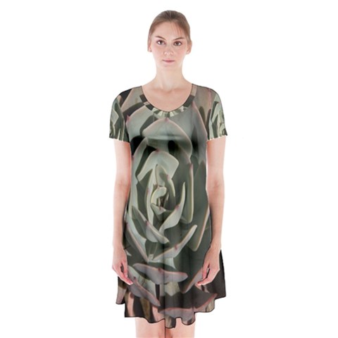 Succulent Green Pink Rosettes Short Sleeve V