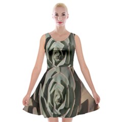 Velvet Skater Dress 