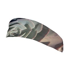 Stretchable Headband 