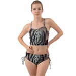 Succulent Green Pink Rosettes Mini Tank Bikini Set