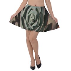 Velvet Skater Skirt 