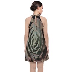 Velvet Halter Neckline Dress  