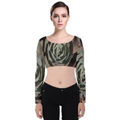 Velvet Long Sleeve Crop Top 