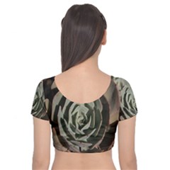 Velvet Short Sleeve Crop Top  