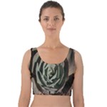 Succulent Green Pink Rosettes Velvet Crop Top